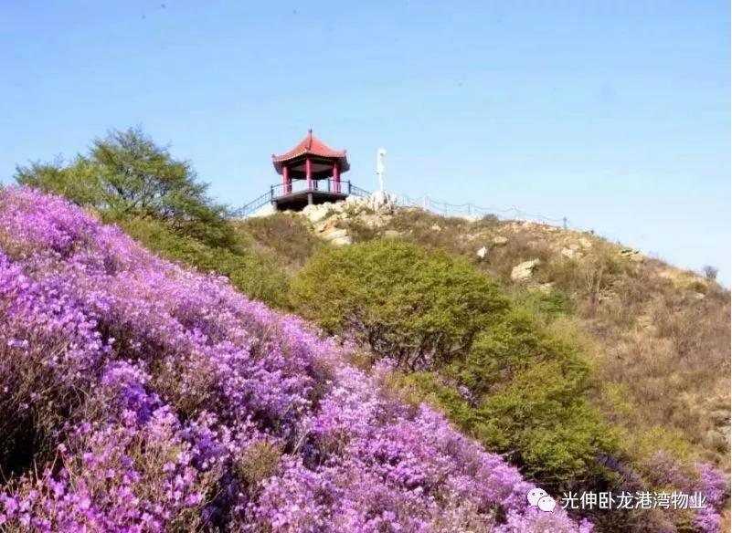 亚洲必赢·(中国区)唯一官方网站