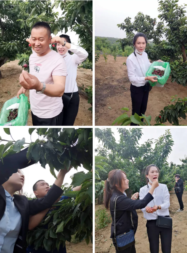 亚洲必赢·(中国区)唯一官方网站
